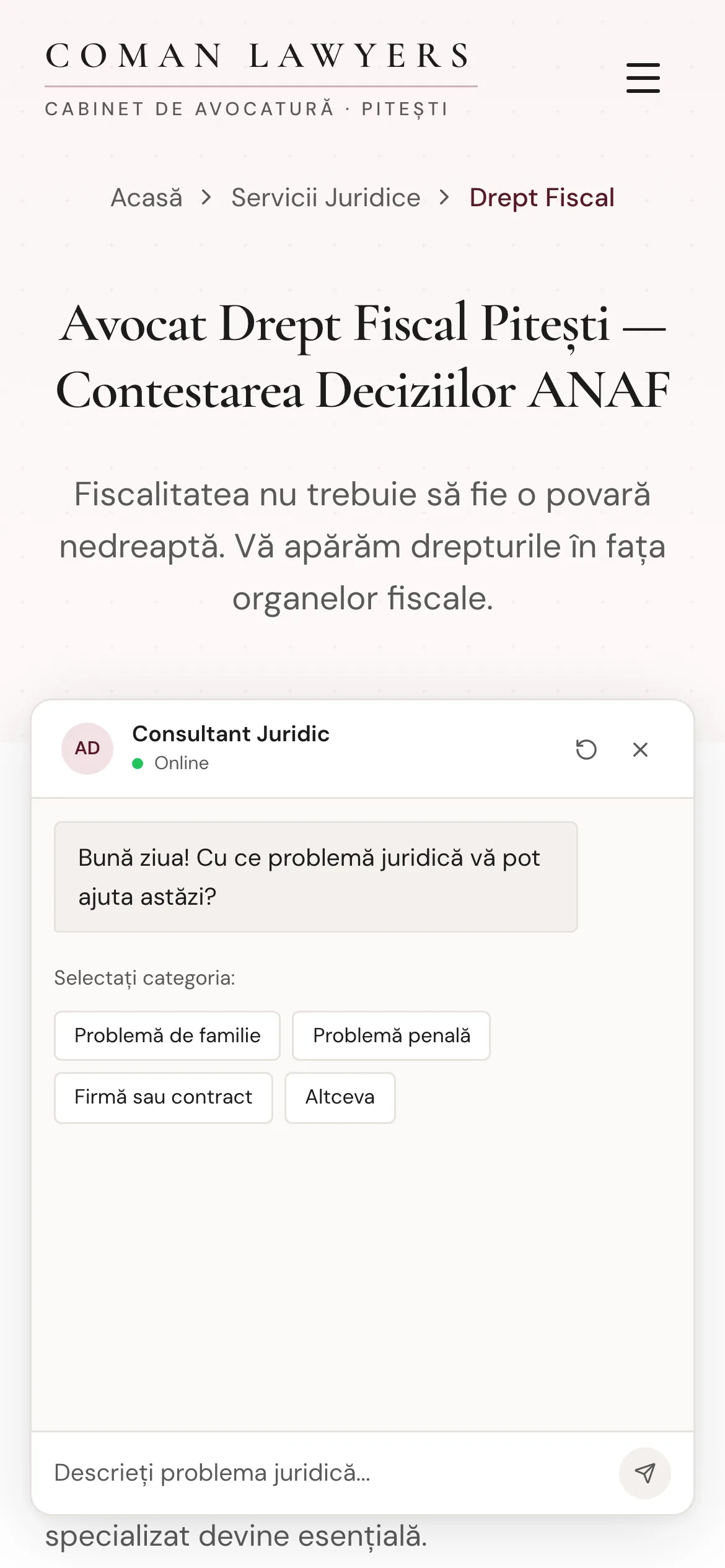 A panel docked at the lower right of a practice page, with a header, a greeting asking what the legal problem is, and four category buttons to tap.